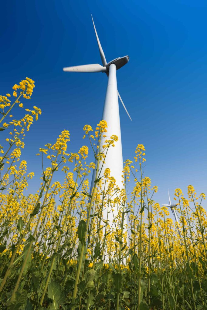 Transizione energetica